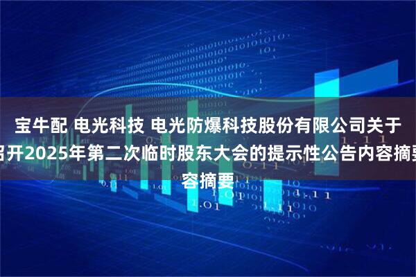 宝牛配 电光科技 电光防爆科技股份有限公司关于召开2025年第二次临时股东大会的提示性公告内容摘要