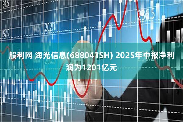 股利网 海光信息(688041SH) 2025年中报净利润为1201亿元
