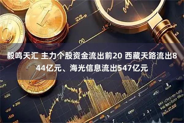 毅鸣天汇 主力个股资金流出前20 西藏天路流出844亿元、海光信息流出547亿元