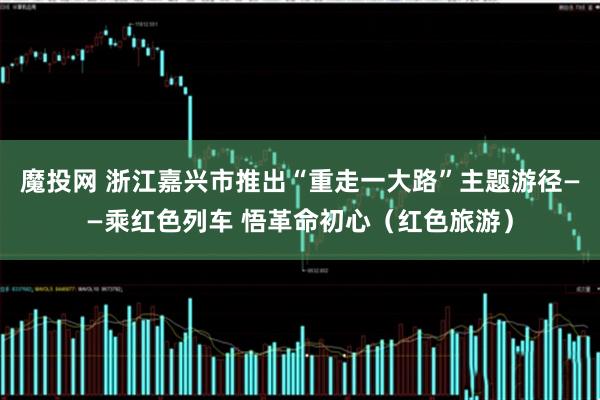 魔投网 浙江嘉兴市推出“重走一大路”主题游径——乘红色列车 悟革命初心(红色旅游)